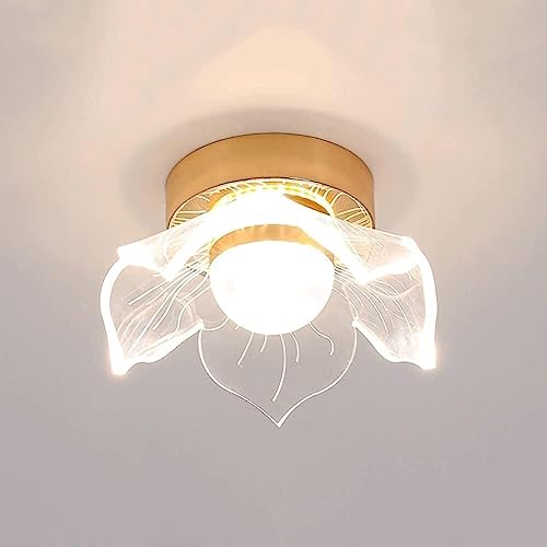 Lámpara de techo para salón con luces LED y forma de flor ideal para techos de interiores
