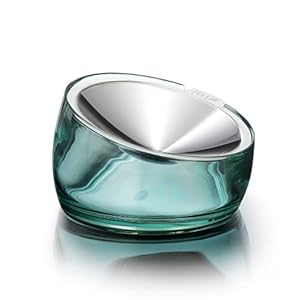 Felli Pet Oblik Whisker Fatigue Cat Bowl Raised Stainless Steel Shallow Dish, Tilted Anti Vomit Non Spill Wide Metal Plate for Puppy Small Dog, Slanted Dry Wet Food Feeder Elevated (0.5Cup, Classic)