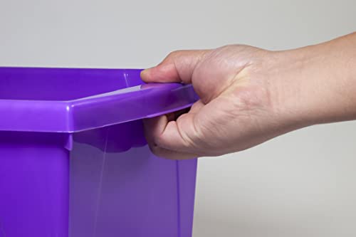 Image of Storex 5.5 Gallon Storage Bin with Lid - Plastic Classroom Organizer for Books and Supplies, Violet, 6-Pack (62747U06C)