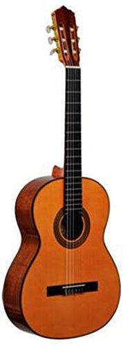 Ever Play cg80 C Segovia Guitarra de concierto