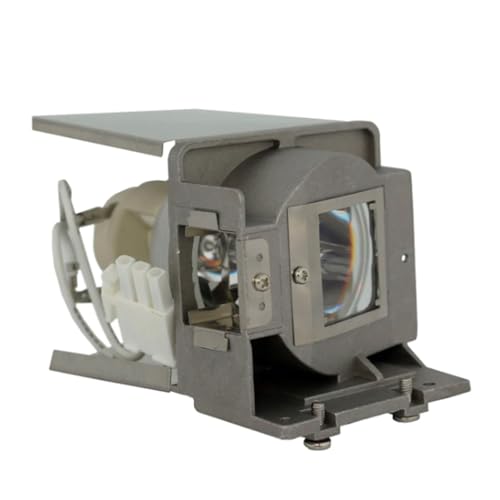 Replacement Projector Lamp BL-FP240A FX.PE884-2401 For EW631/EX550ST/EX631/FW5200/FX.PE884-2401/FX5200/TW631-3D/TX631-3D(CBH)