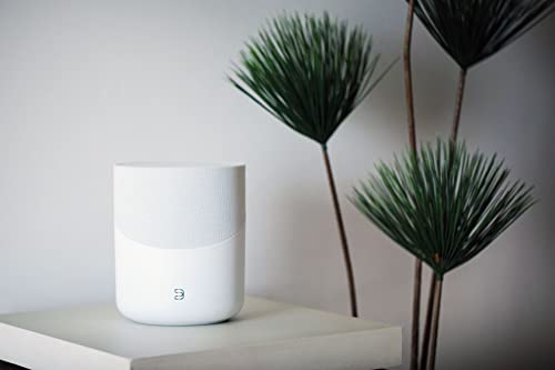Image of Bluesound Pulse M Omni-Hybrid Wireless Music Streaming Speaker with Bluetooth - White - Compatible with Alexa and Siri