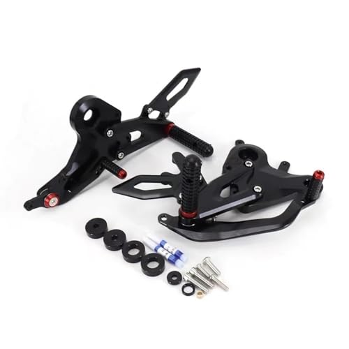 Couvercle de protection moteur pour virées sportives en 450SR