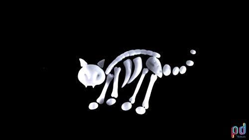 Miniatura 7 de Polydoh moldeable plástico 16oz bañera (Natural) Polimorfo, plastimake