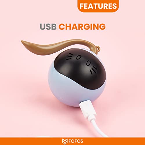 Image of BarkButler X FOFOS Whirli Cat Toy - Interactive Cat Toys, Toys for Kitten and Adult Cats