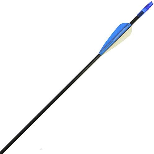 DNA 10 X 28 Inch Fibreglass Field Point Archery Arrows For Compound Or Recurve Bows
