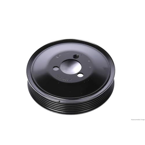 ACDelco Water Pump Pulley - 19418445