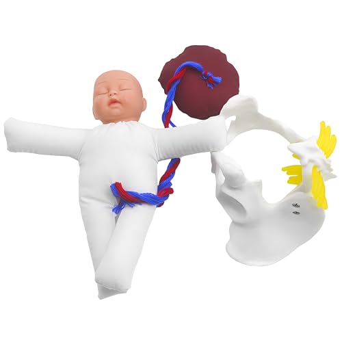 Modèle de naissance pour simulation réaliste AMITD évitant les erreurs de manipulation