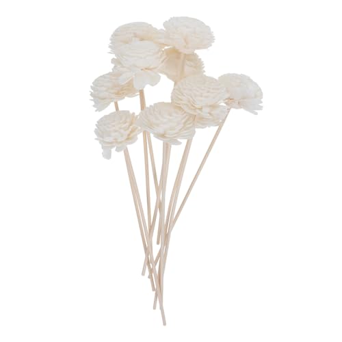 EXAOMBLE ʑSet[fBt[U[XeBbN10Zbg \A}fBt[U[bh RȍgU pICXeBbN ƒ ItBX Kp