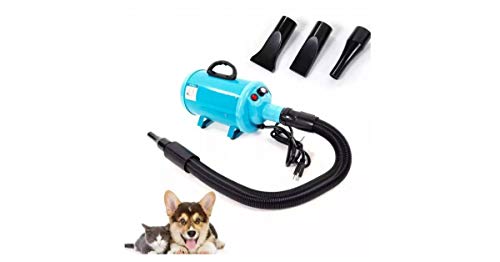 Gravitis 2800 W Stepless Speed Perro Gato Pet Grooming Secador de pelo Secador de pelo Blaster Soplador (azul claro) Cover