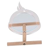 Support de perchoir pour oiseaux : design adorable et délicat qui peut bien correspondre à vos autres décorations de maison, support pour perroquet domestique