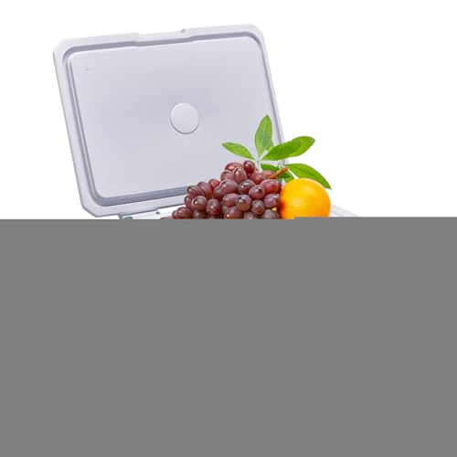Refroidisseur de glace portable avec isolation thermique renforcée de 5L