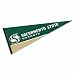 Sacramento State Pennant Full Size Felt