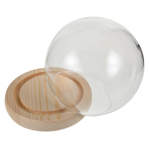 ABOOFAN Cloche Verre Transparente Ronde avec Socle Bois pour Exposition De Fleurs Et Objets Décoratifs Anti-poussière