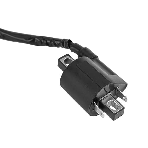 Ymiko Ignition Coil, Motorcycle 2 Pin Ignition Coil for CBF125 CBR125 CR125 CR250 CRF450 CR500