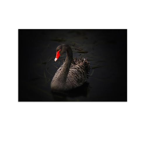 Affiche toile peinture animal sans cadre motif cygne noir impression monochrome 30x45cm