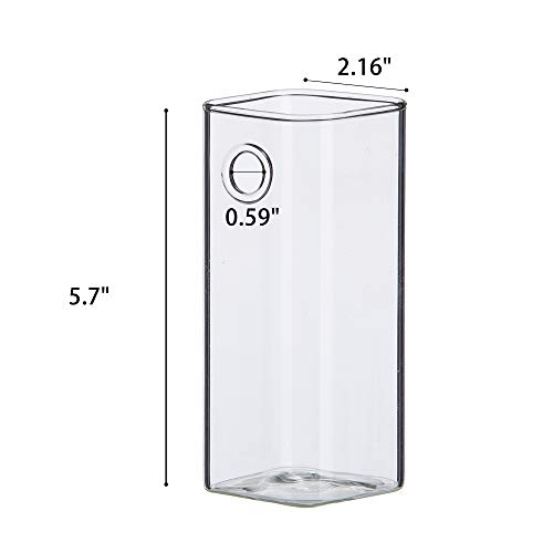 Planter Terrariums - 2 Pack Glass Terrariums Hanging Vase Terrariums For Hydroponic Plants,Flower,Indoor Outdoor Home Garden Decoration #TOP5
