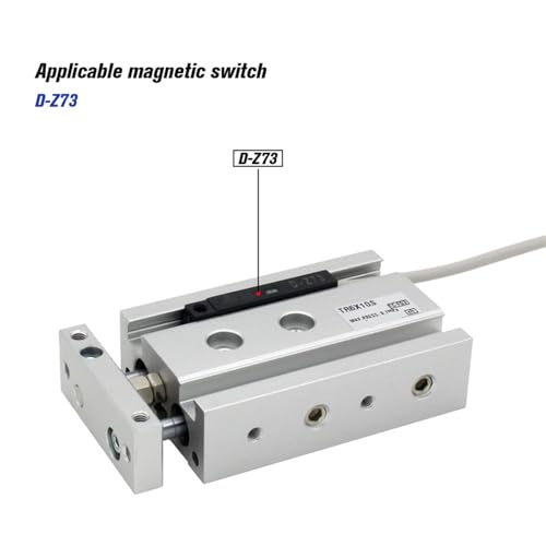 Vérin pneumatique double tige TR avec roulement à glissière robuste - 7