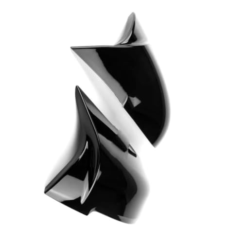 Capuchon miroir boîtier compatible avec BMW 328i 328ix 330ix 335ix accessoires remplacement