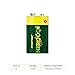 GoGreen Power (24015) Eco Friendly Alkaline 9V Batteries - No Lead, Cadmium or Mercury - Pack of 12