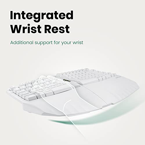 Perixx Periboard-613W Dv Wireless Compact Ergonomic Split Keyboard - Dual 2.4G And Bluetooth Mode - Compatible With Windows 10 And Mac Os X - 15.75X10.83X2.17 Inches - White - Dvorak Layout… #TOP3