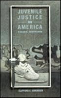 Juvenile Justice in America (3rd Edition) 0024105317 Book Cover