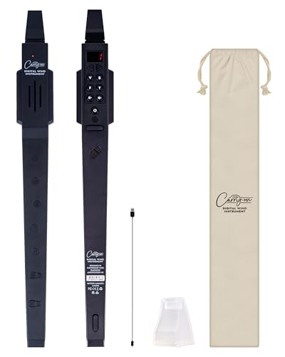 Carry-On Digital Wind Instrument By Blackstar - Black
