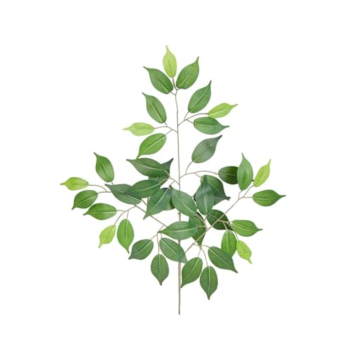 tFCNO[ 10Zbg ϗtA A  t lHϗtA Pi  O  CeA  傫  VR A[g ͂Ȃ sv ȒP  j v[g [sAi]