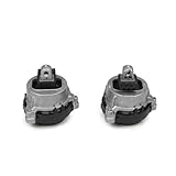 IRIEQU Engine Motor Mount Left and Righ Compatible with BMW 530i xDrive X3 xDrive30i X4 xDrive30i 2017-2024 2.0L L4 Replaces 22116860495 22116860496