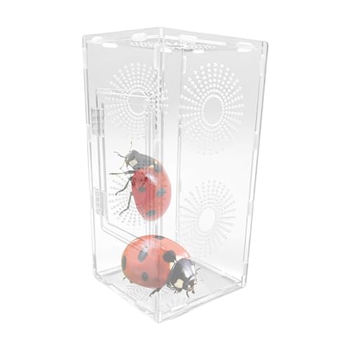 Terrario de araña saltando | Hábitat de araña transparente pequeño recinto para reptiles – Terrario de transparencia completa, accesorios de alimentación segura para niños, adultos, niñas, familia y
