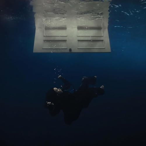 Hit Me Hard And Soft [Vinyl]