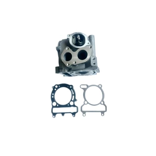 Culasse avec arbre à cames pour quad Li250 Li260 Li300 - 4