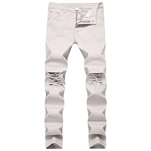 Men's Ripped Distressed Destroyed Jeans Stretch Vintage Hip Hop Jean with Holes Straight Leg Slim Fit Denim Pants (Light Grey,32)