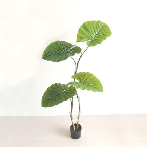 [LJKI] tFCNO[  VN NX}X O[2  lHϗtA 200cm NYC lHA Vzj JXj ItBX X ϏܗplH~ Ύ sv A A K̖ ̂Ȃ { fR