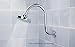 Purelux Goose Neck Shower Arm Water Outlet PJ1201 Made of Stainless Steel, Chrome Finish Showerhead Extension