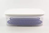 tupperware frischegitter frische kabinett Original Tupperware Tupperware Cool`N Fresh 1,5 L Behälter+Frischegitter lila+Verschlussdeckel weiß 35115