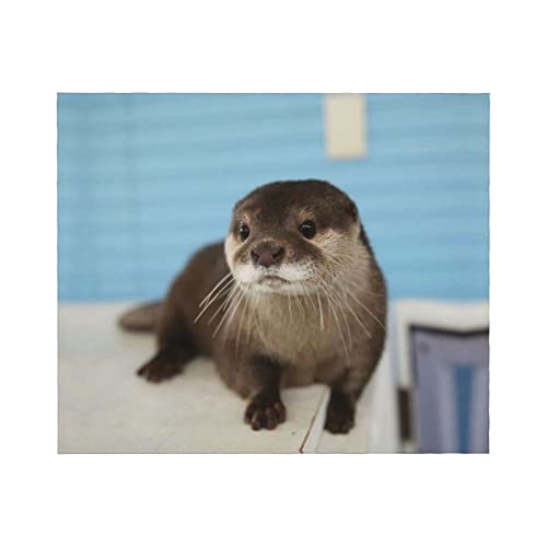 Couverture en flanelle loutre douce de qualité supérieure pour lit - 3