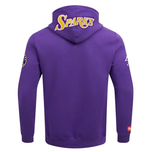 Image of Pro Standard Mens WNBA Classic Chenille Pull Over Hoodie