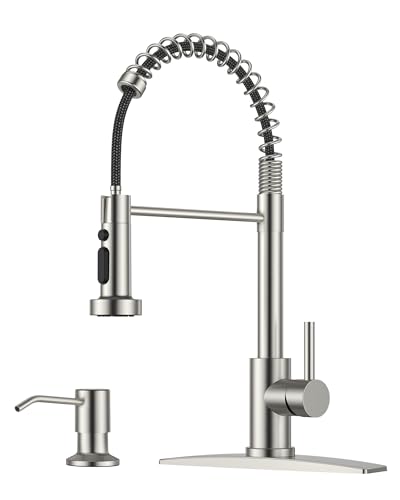 FORIOUS Brushed Nickel Pull Down