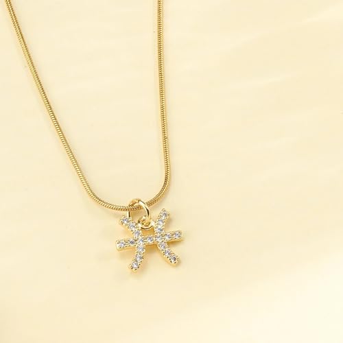 Image of SALTY Anti Tarnish Zodiac Sign Pendant Necklace for Women Men | Stylish Locket Neck Chain | Fashion Jewellery Accessories for Girls Boys | Minimal Jewelry | Ideal for Gifting | Gift for Diwali, Christmas, Marriage, Birthday