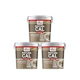 Enjalbegado de Cal para Paredes Interiores y Fachadas Exteriores - BADIPLUS - Collioures Beige Oscuro - ARCANE INDUSTRIES