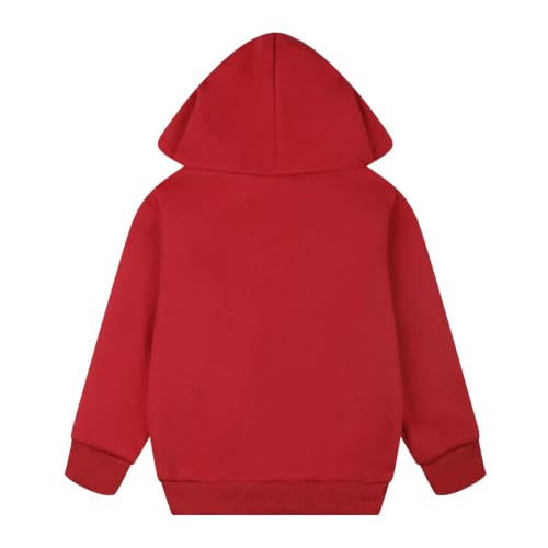 Image of Akyzic Baby Boys Dinosaurs Hoodie Boys Shark Pullover with Pocket Kids Truck Warm Sweatshirt Sweater