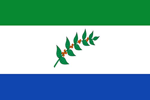 Drapeau XL Briceño Boyacá sans pli pour décoration murale nette - 2