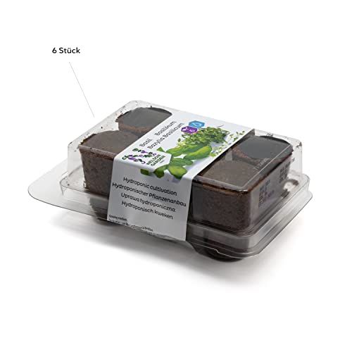 Nelson Garden 1933 Basilicum Pluggen - 6 stuks gemakkelijk te gebruiken basilicumplantpods voor je kruidentuin… - Image 6
