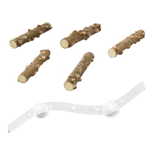  y[` - CRo - zՎ@\ ~܂ IEACRAZLZCCRAIJCRp