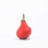 Wax Amaryllis - gewachst (Rot) - Geschenktip! Amaryllis Hippeastrum, Deko