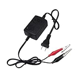 Lyxheth 12V 1300mA Sealed Lead Acid (SLA) Battery Charger, Trickle Charger for Car Battery, Battery Charger Maintainer with Short Circuit Protection, Universal Charger Adapter for Car Motorcycle