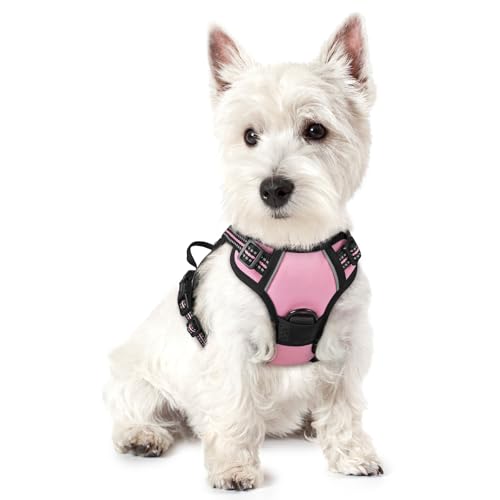 Image of rabbitgoo Dog Harness No Pull with 2 Leash Clips, Adjustable Soft Padded, Reflective Oxford No Choke Pet Vest with Easy Control Handle for Puppy, Pink, XS