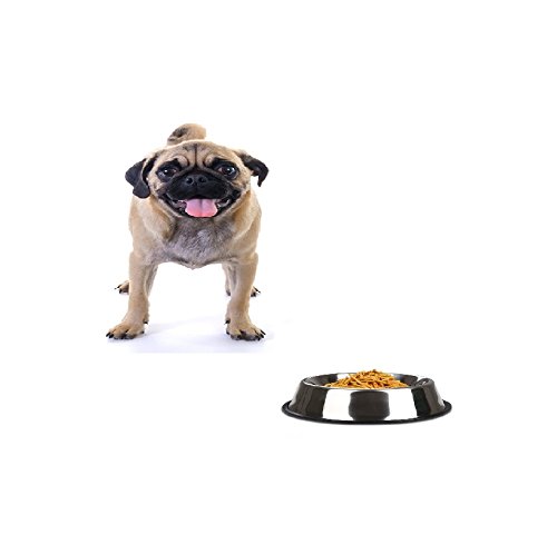 Image of Pets Empire Steel Dog Feeding Bowl (X Small)