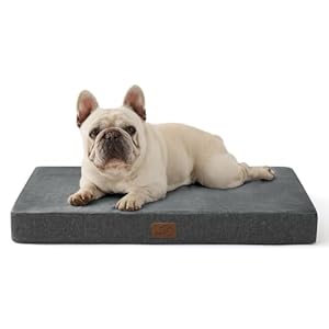 BEDSURE orthopädisches Hundekissen mittelgroße Hunde - 74x46x8cm waschbares Hundebett mit 2 in 1 Memoryschaum, kuscheliges Hundematte Hundematratze, dunkelgrau